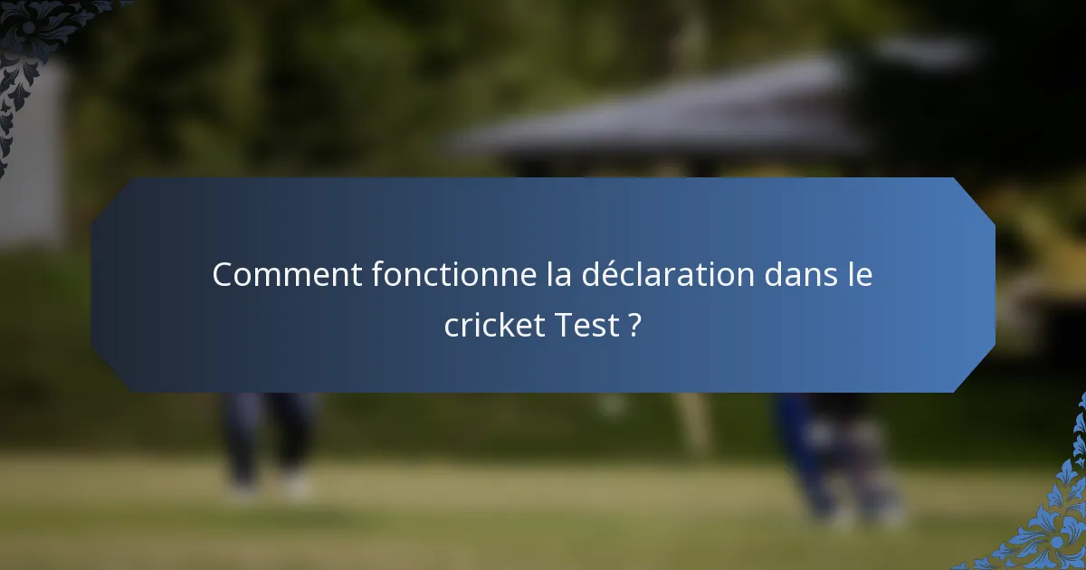 Comment fonctionne la déclaration dans le cricket Test ?