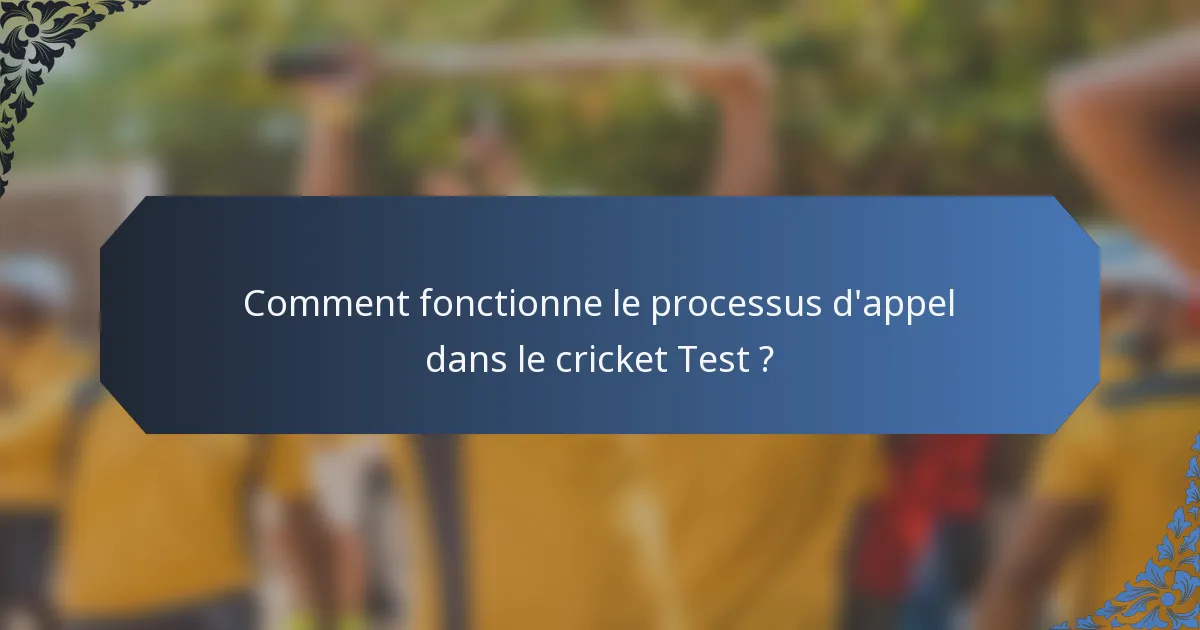 Comment fonctionne le processus d'appel dans le cricket Test ?