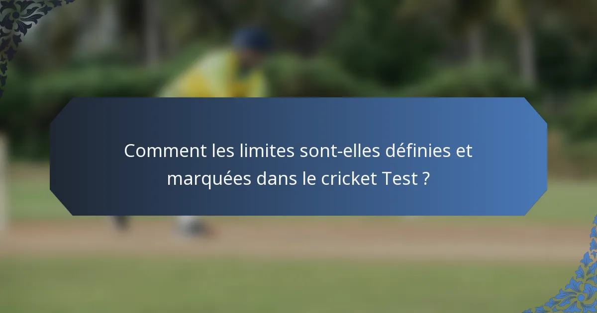 Comment les limites sont-elles définies et marquées dans le cricket Test ?
