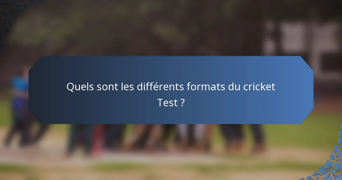 Quels sont les différents formats du cricket Test ?