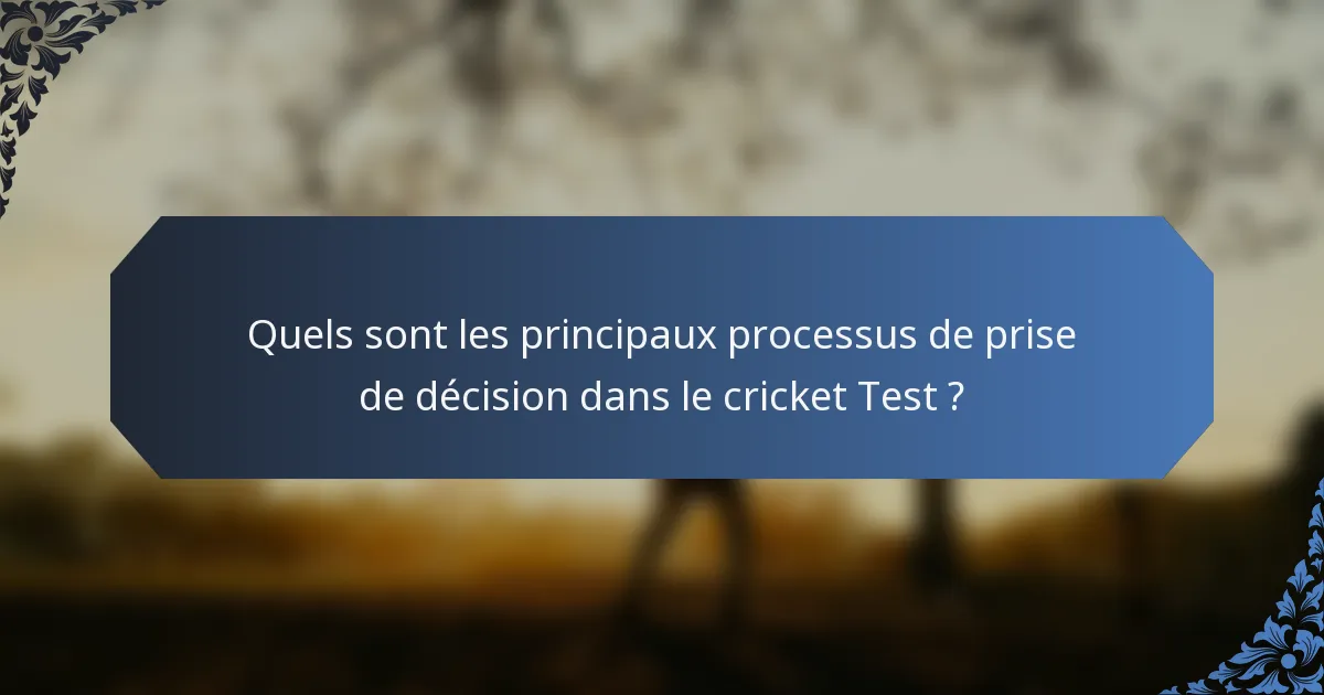 Quels sont les principaux processus de prise de décision dans le cricket Test ?