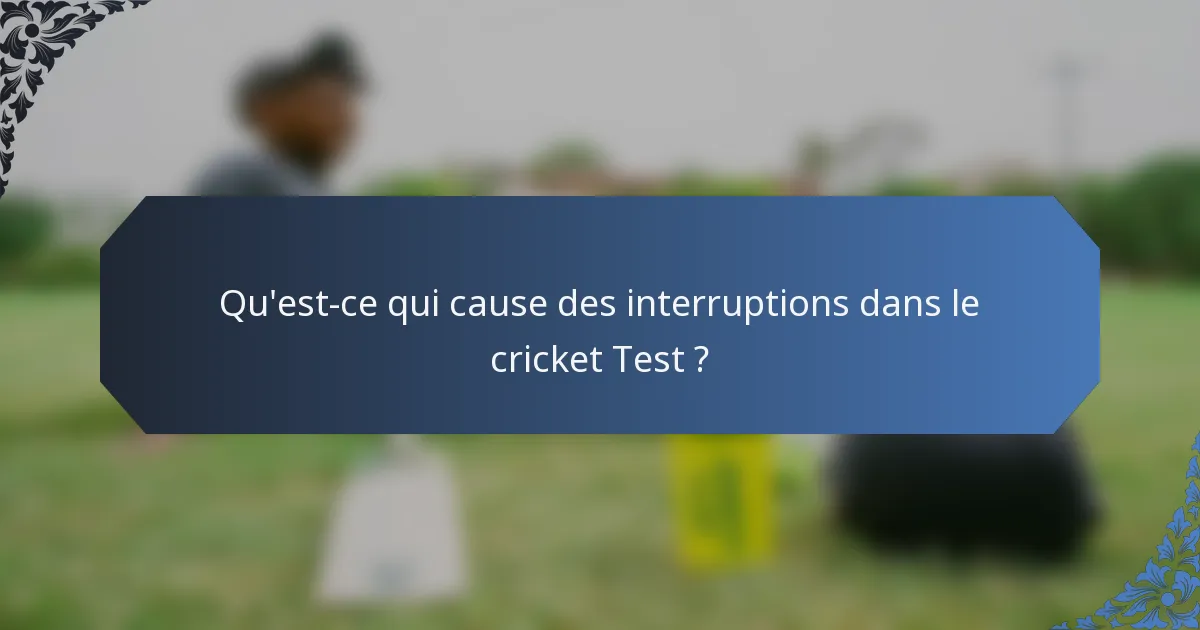 Qu'est-ce qui cause des interruptions dans le cricket Test ?
